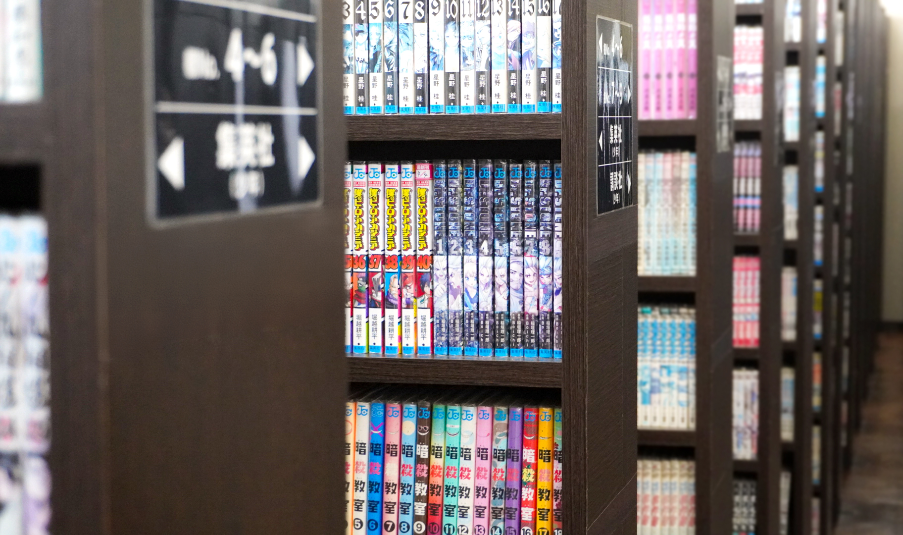 活動歴および当時の関連ビジュアル記録